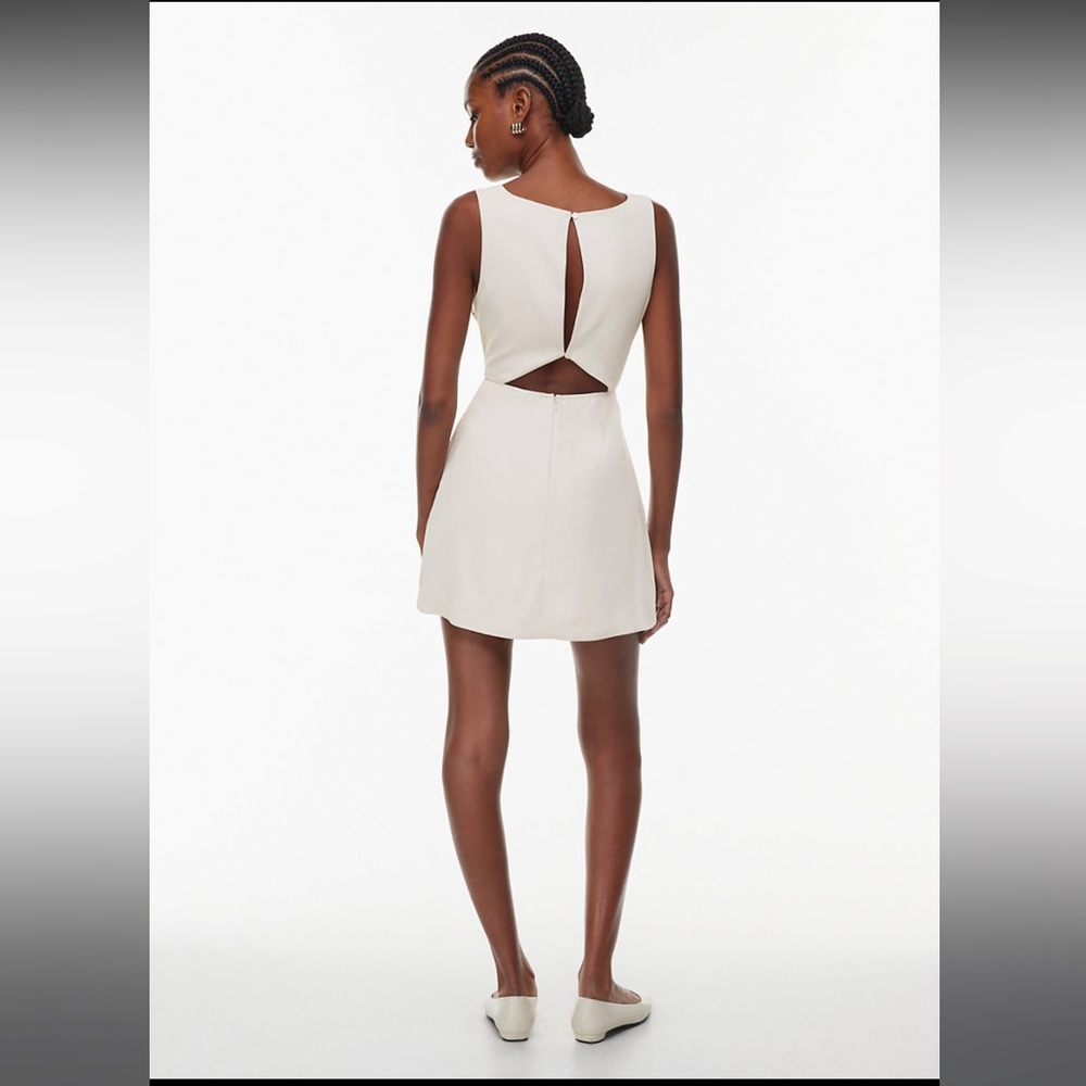 Aritzia Babaton Bond dress S6